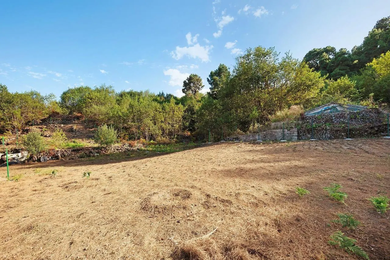 Holiday home El Apretadero Villa Icod De Los Vinos Spain